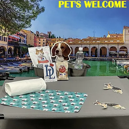 Desenzanoloft Official Partner Marriott Homes & - Bea House, With Private Garden And Share Pool * Sirmione